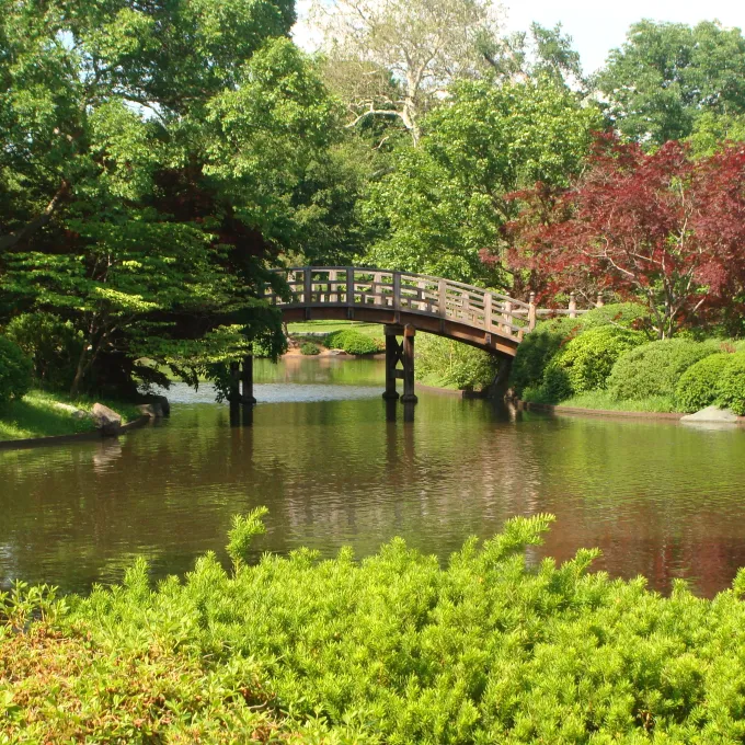 Missouri Botanical Gardens 